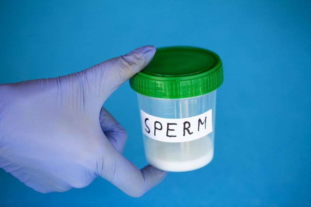 Sperm Bank